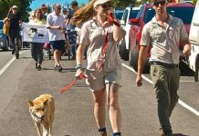 A walk for the animals