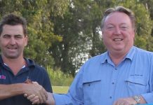 Tigers switch to solar power