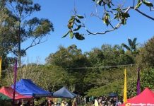 Dads’ fair a growing success