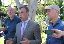 How much can a koala bear?