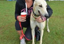 Bush dance for animals