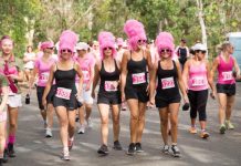 Fun run and more at festival