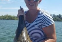 Big flathead in the river
