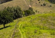 Walks leaves trail of cash