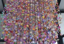 Stars light the way for love