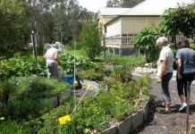 Harvesting fruits of labour