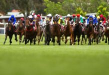 A flutter and a feed makes race day fun