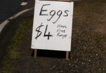 Thieves with egg on their face