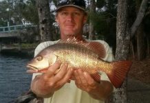 The river comes alive in spring