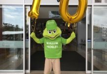 Noosa Civic on double figures