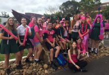 Pink’s a good fit for the cause