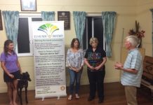 Adopted greyhound steals the show