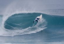 A week at Carnage Cove