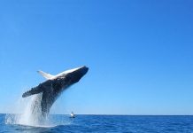 Easing mind’s many ripples