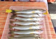 Perfect conditions to hit the water