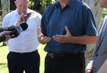 Koalas fighting chlamidya