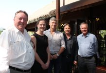 Long-term koala plan slammed