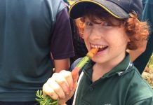 Hands-on farm education