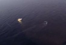 Trawler skipper missing after boat capsizes