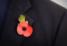 The time for poppies