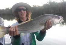 Fishing in Noosa heats up