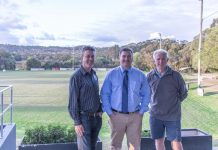 Dolphins will soon see the light