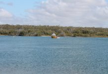 Boat capsizes with five on board