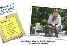 Dogs, Cats and that inner calm