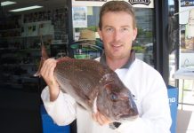 Anglers spoilt for choice in the Noosa River