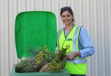 Reclaim those clippings