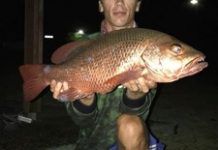 Noosa – the perfect place for a fishing holiday!