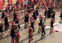 Seahorse spectacular