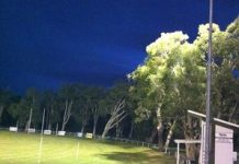 Lighting the way for Noosa’s clubs