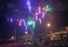 Tewantin in celebration mode