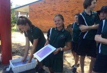 Step up and sustainability