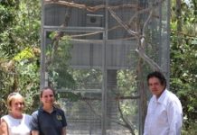 Help for injured wildlife