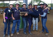 Are you up for the challenge?