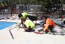 Butterflies put ’em to work