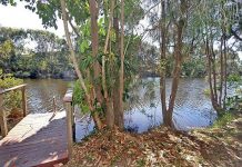 Crocodile sighting still a mystery