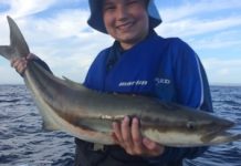Whiting are plentiful in the Noosa River