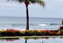 Farewell to the first-ever bodysurfing president