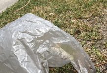 Council bags the bags