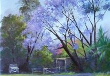 Beth’s brush with the land she loves