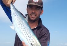 Noosa is a great destination for Australia Day fishing