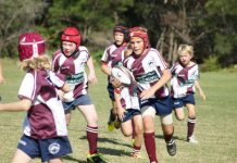 Dolphins ready for a big year