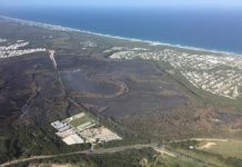 Black walk for suffering wildlife