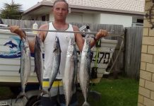 Mackerel sizes improve with warmer weather