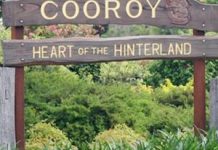 Police injured in Cooroy hit and run