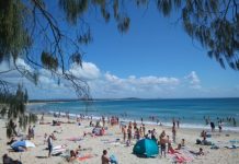 Beachgoers stung by visitors
