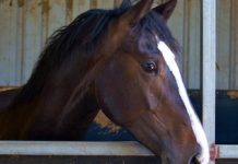 Billy’s jumping to it